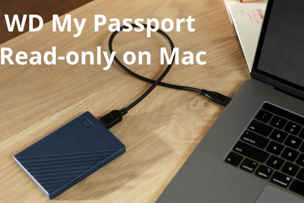 can a passport for mac be usede on a pc?